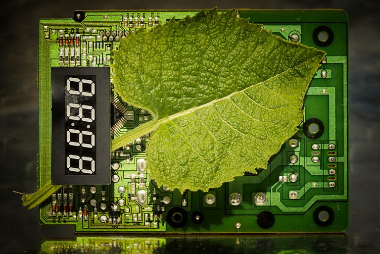 Why Green Tech Is Becoming More Popular
