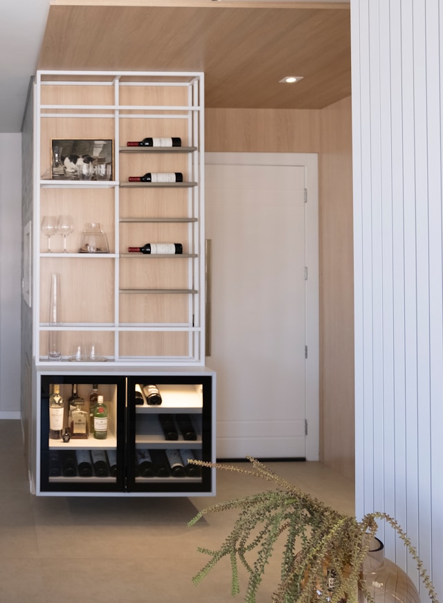 Different types of wine coolers